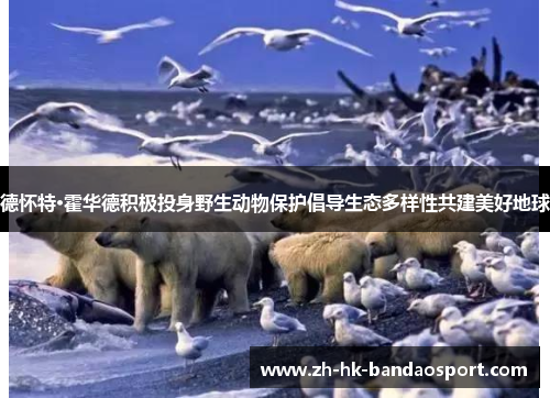 德怀特·霍华德积极投身野生动物保护倡导生态多样性共建美好地球 德怀特·霍华德积极投身野生动物保护倡导生态多样性共建美好地球