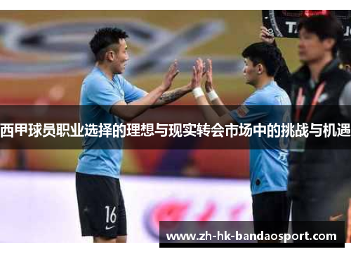 西甲球员职业选择的理想与现实转会市场中的挑战与机遇