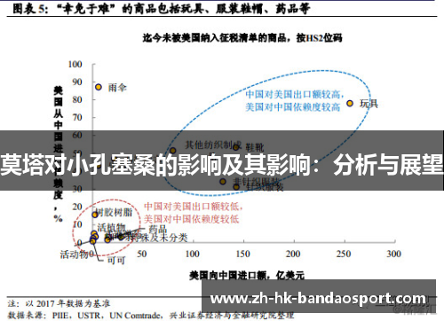 莫塔对小孔塞桑的影响及其影响:分析与展望 莫塔对小孔塞桑的影响及其影响:分析与展望